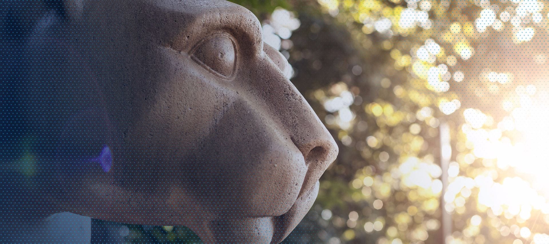 Penn State’s Nittany Lion Shrine bathed in morning sunlight.